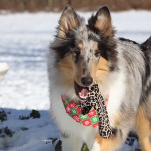 Meet your Posher, Karen